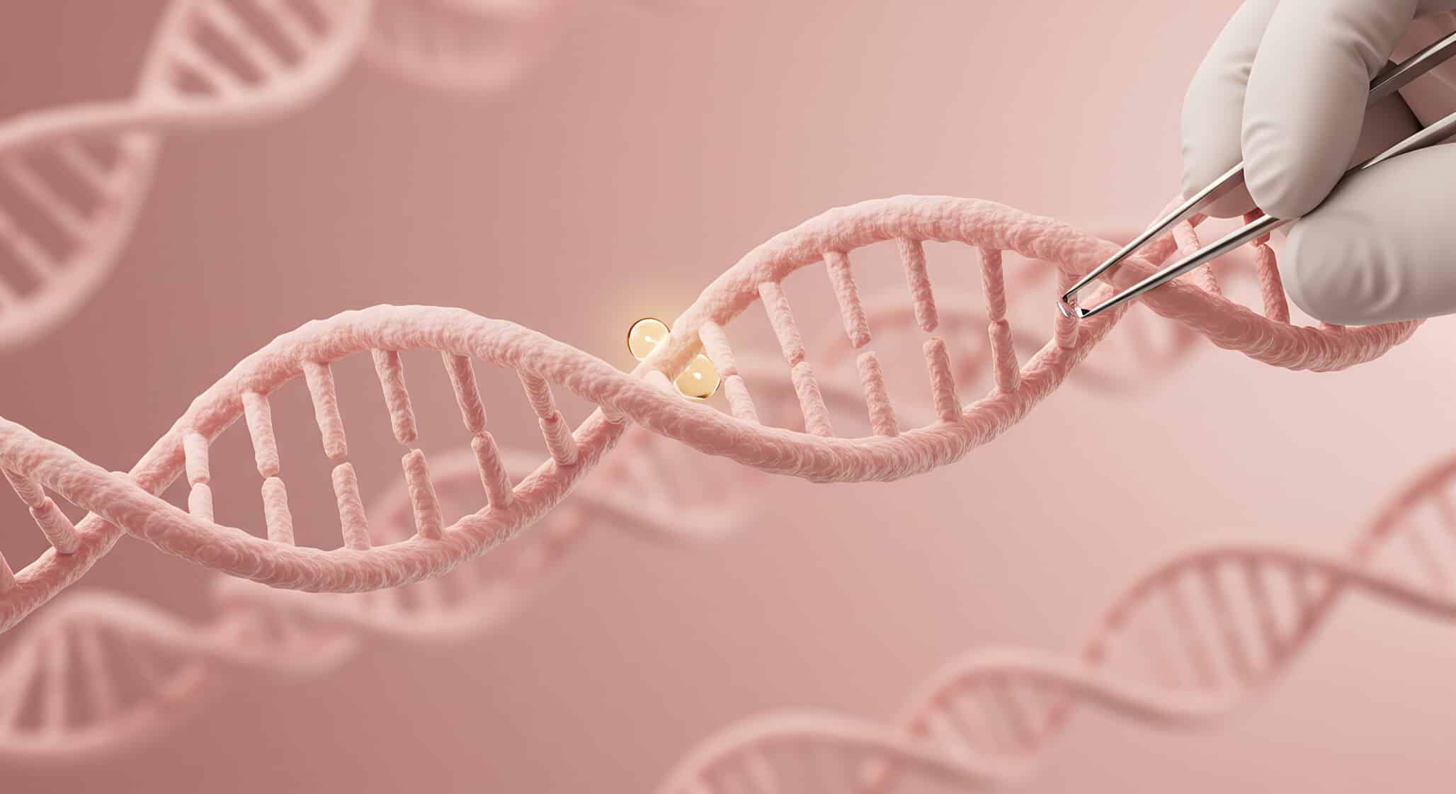 México: Investigadores solicitan la regulación de la edición genética para fortalecer la seguridad alimentaria