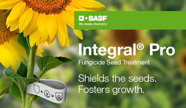 SW-E-BASF1250075-1-SB-Integral-Pro-Landscape-600350px-ly1