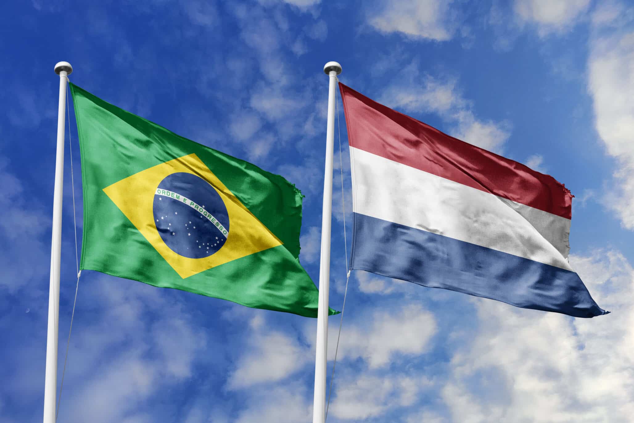 ABCSEM Strengthens Ties with the Netherlands to Advance Seed Cooperation