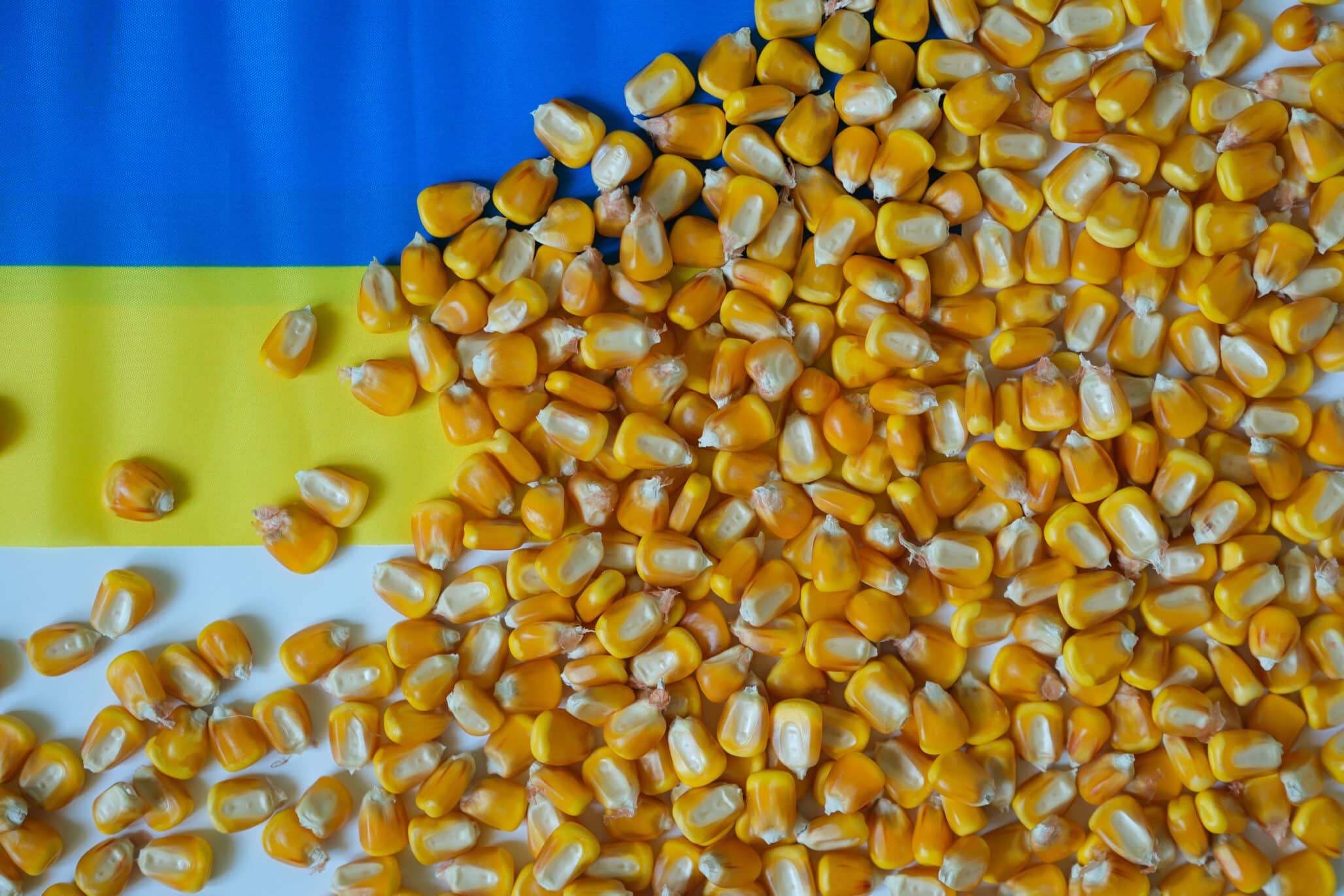 Ukraine Opens New Duplicate Centre to Safeguard Plant Genetic Resources