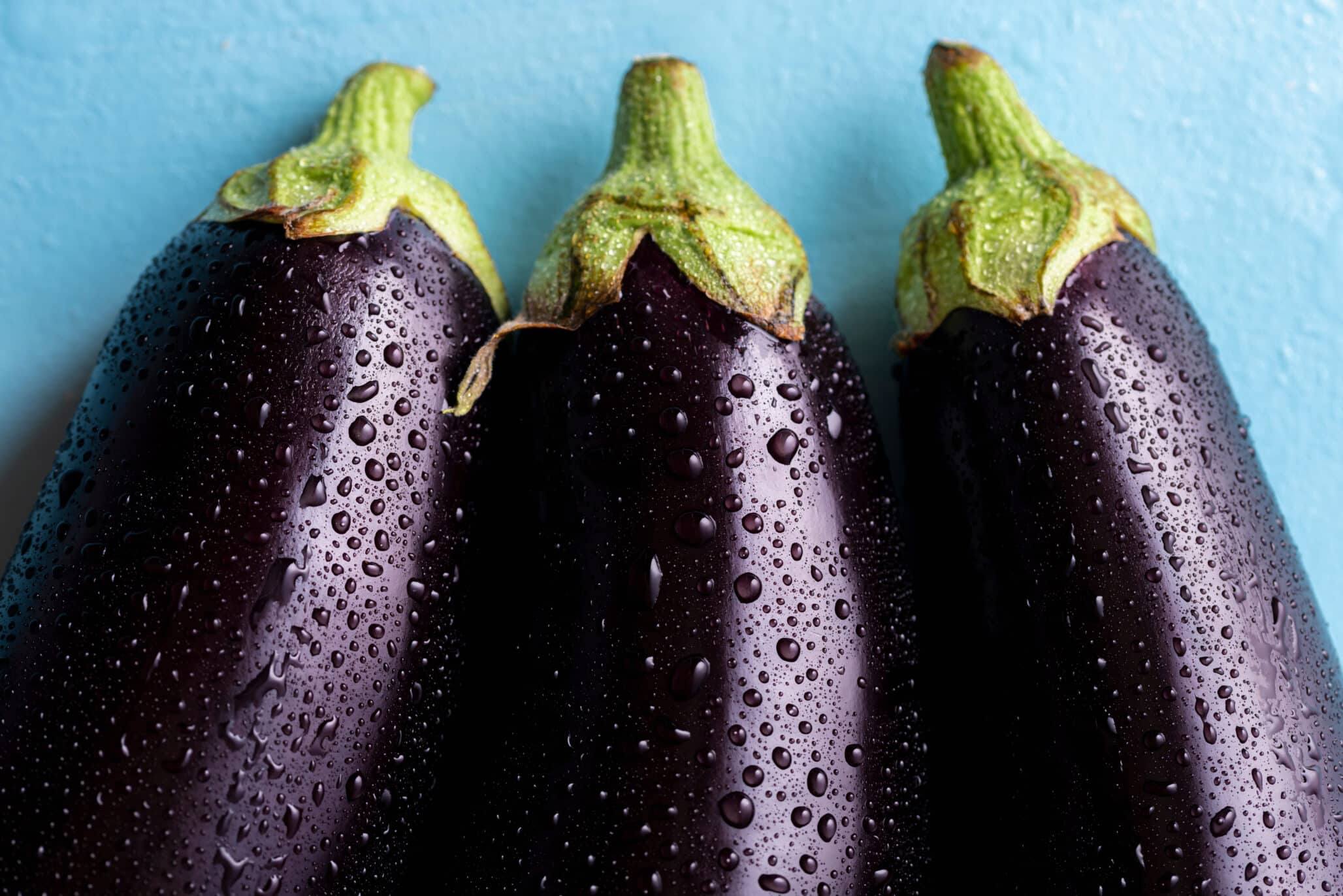 Breakthrough Study Reconstructs the Evolution and Diversity of Eggplant