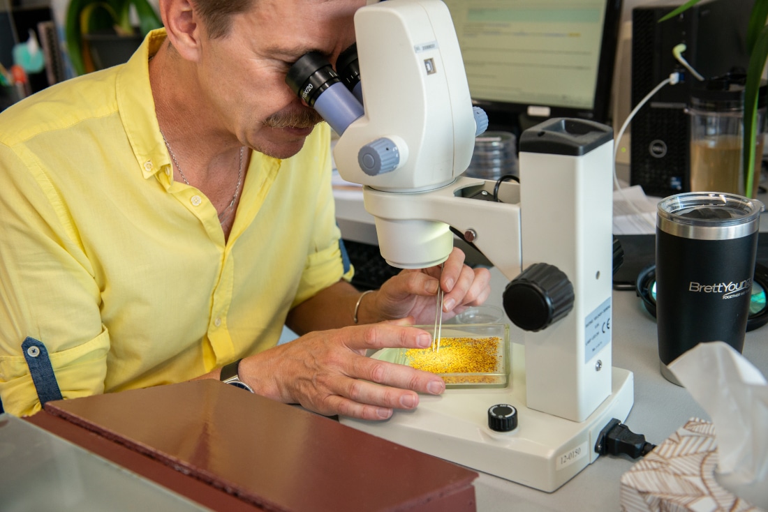 How You Can Share Input on the Future of Canadian Germination Testing Standards