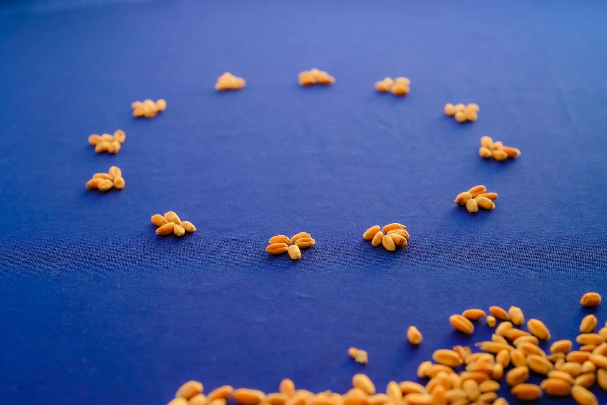 EU Reaches Agreement on New Genomic Techniques Regulation for Plant Breeding