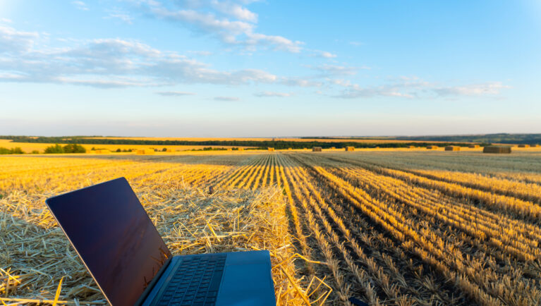 Laptop in the autumn field and blue sky behind