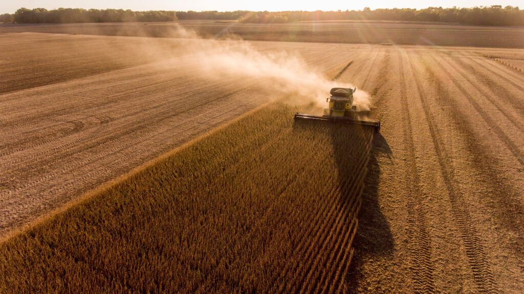 Farmer harvesting soybeans in Midwest