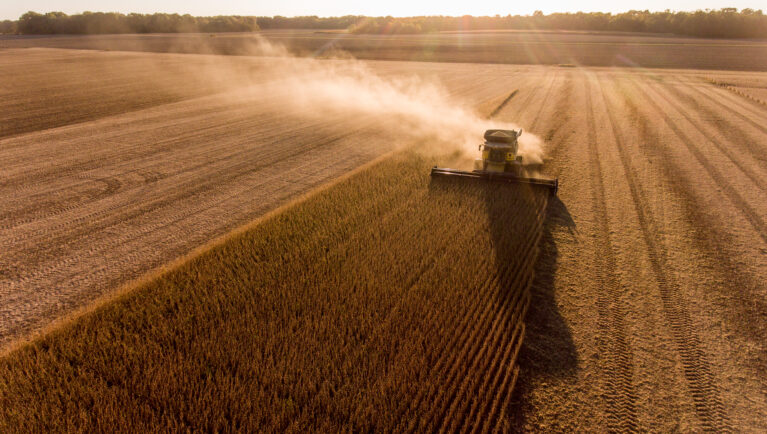 Farmer harvesting soybeans in Midwest