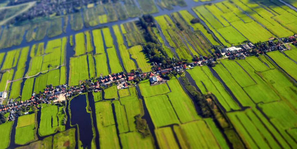 Aerial view of cultivated agricultural farming land with vivid green color as a typical dutch canals natural irrigation system shot from the air with tilt-shift focus effect