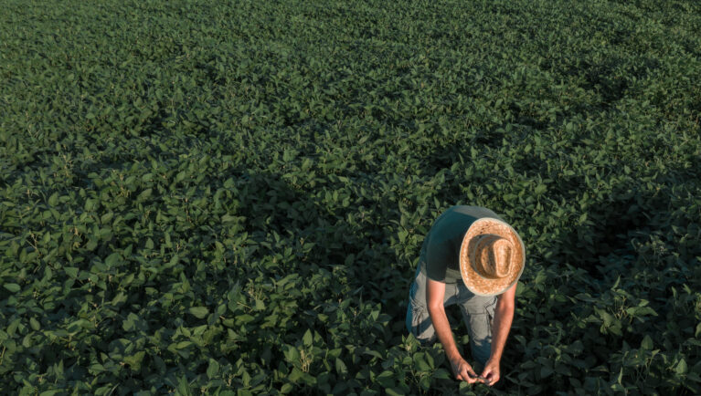 Aerial view of soybean farmer working in the field from drone pov