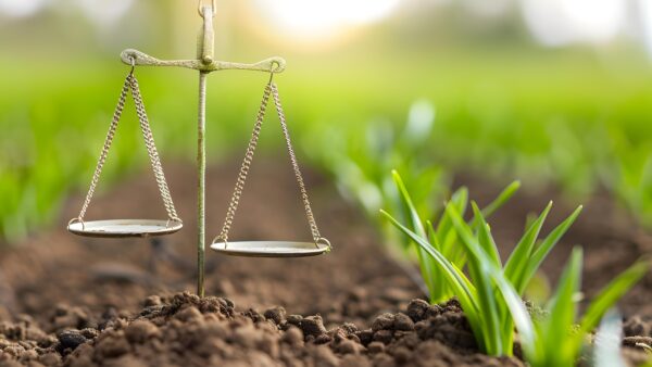 Legal services for agribusiness regulatory compliance and adherence to regulations. Concept Agribusiness Compliance, Regulatory Guidelines, Legal Consultation, Agricultural Regulations