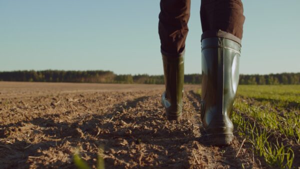 Low angle: man walking in rubber boots in a farmer's field, the blue sky above the horizon. Man walking through an agricultural field. Farmer walks through a plowed field in early spring.