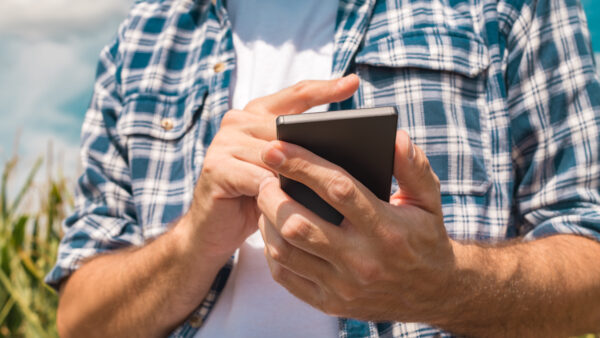 Agronomist typing text message on smartphone out in corn field