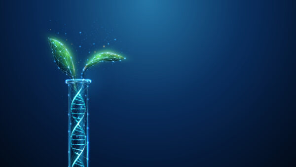 Green plant leafs growing from DNA molecule helix in test tube.