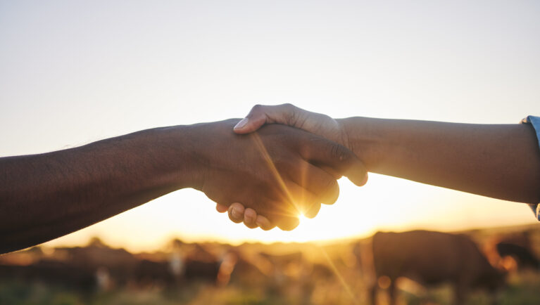 Welcome, handshake and people with b2b farm deal for agriculture, partnership or small business support. Thank you, shaking hands and farming collaboration for supply chain