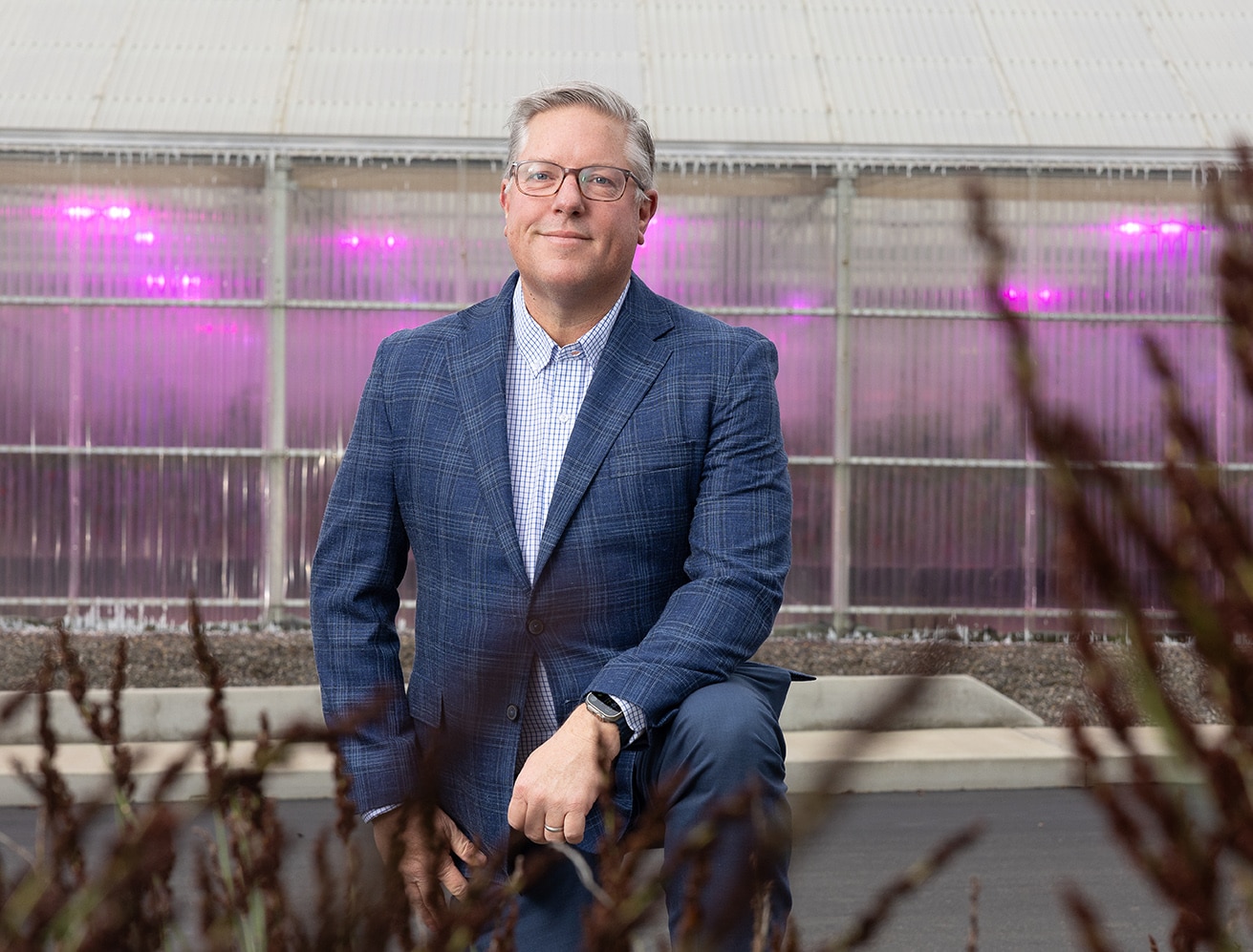 Why Vegetable Seed Companies Can’t Afford To Move Slow Anymore 