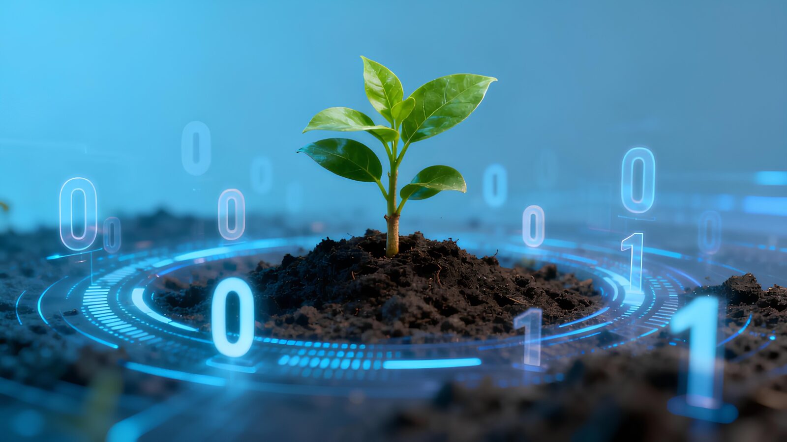 Harnessing Technology to Protect the World’s Crop Diversity - Seed World