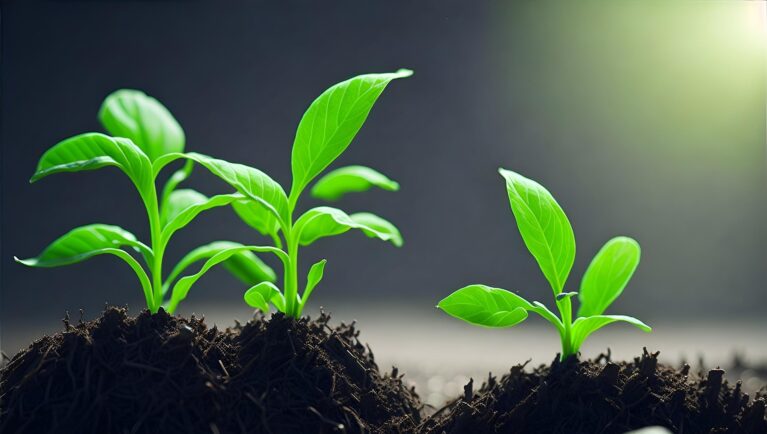 Аргентина поддержала UPOV 91 ради роста конкурентоспособности