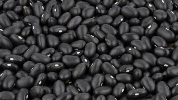 Black beans background