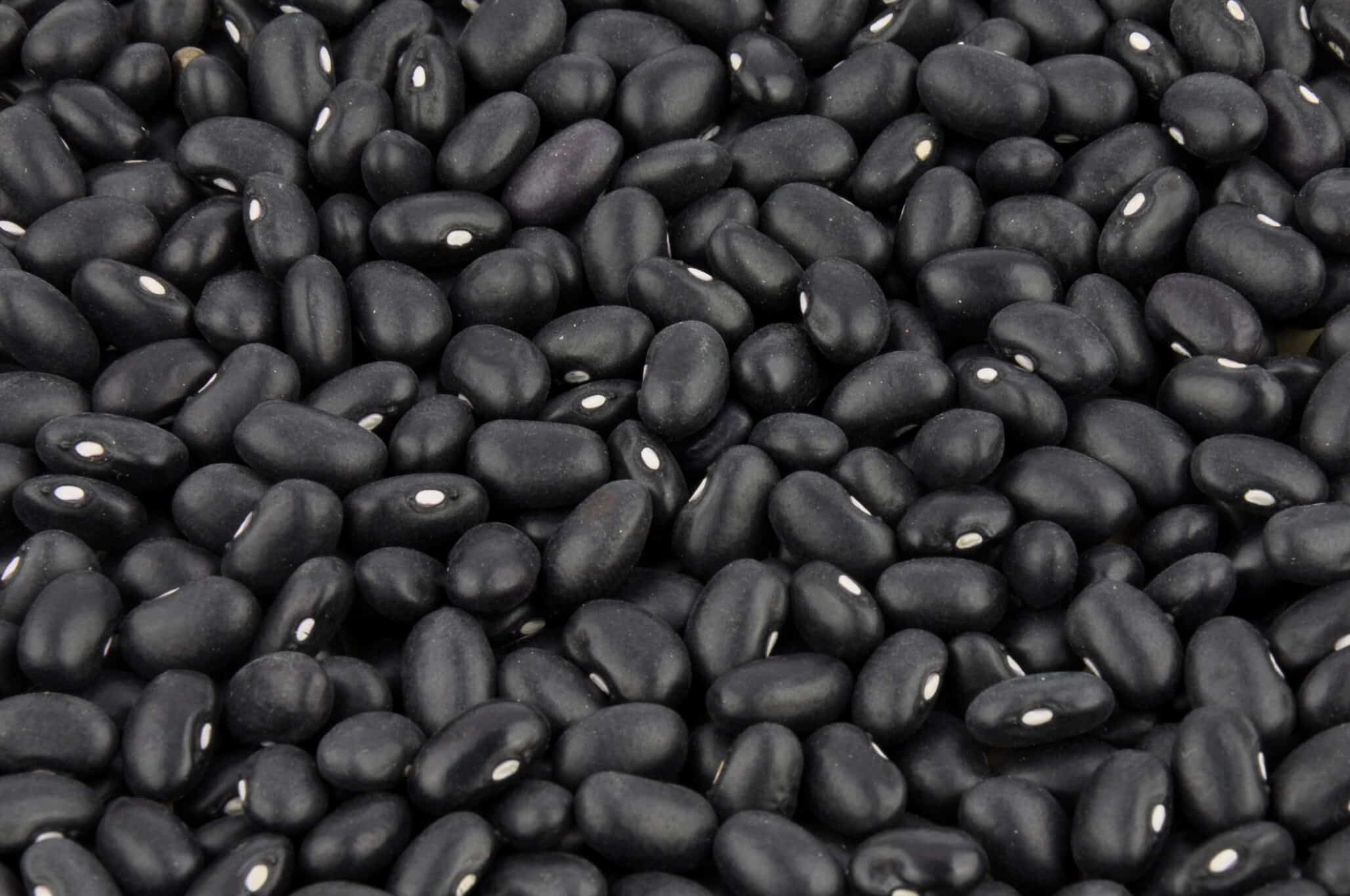Black beans background