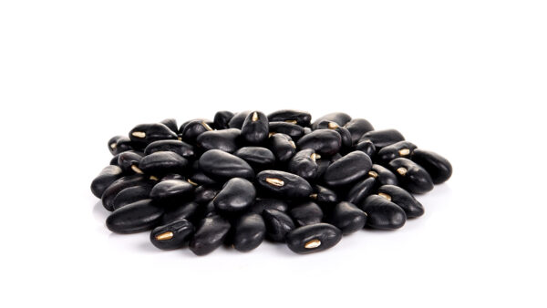 Dry black bean on white background