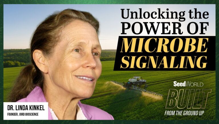 Почему миф о «волшебной микроорганизме» тормозит развитие биологических препаратов