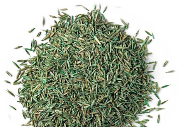 Семена с покрытием изменили зернобобовые. Кто следующий?