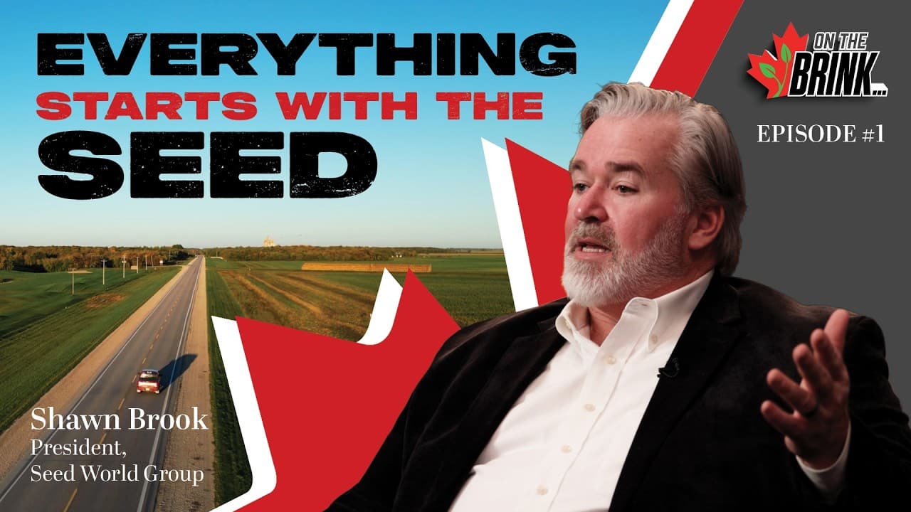 Canada is On the Brink. Let’s Talk About It