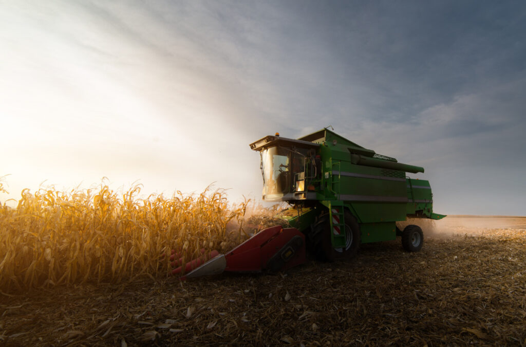 Harvesting of corn field with combine in early autumn