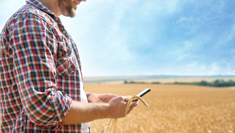 Как разрозненные системы увеличивают риски для семенных компаний