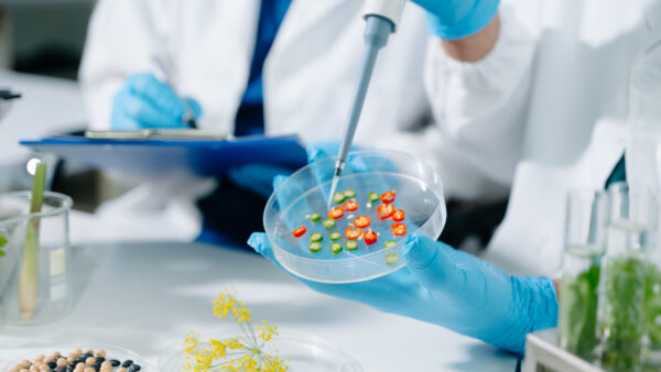 Scientists performing food testing in laboratory. Biotechnology research, GMO analysis, healthcare innovation, nutrition safety and pharmaceutical development.