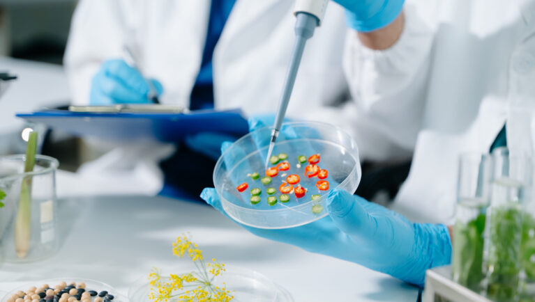 Исследование: ГМО не связаны с рисками для здоровья