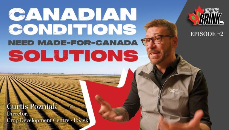 Curtis Pozniak is on the latest episode of On the Brink.