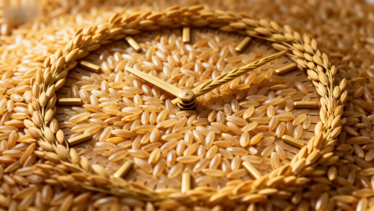 Новое регулирование семян в ЕС: вызовы и перспективы