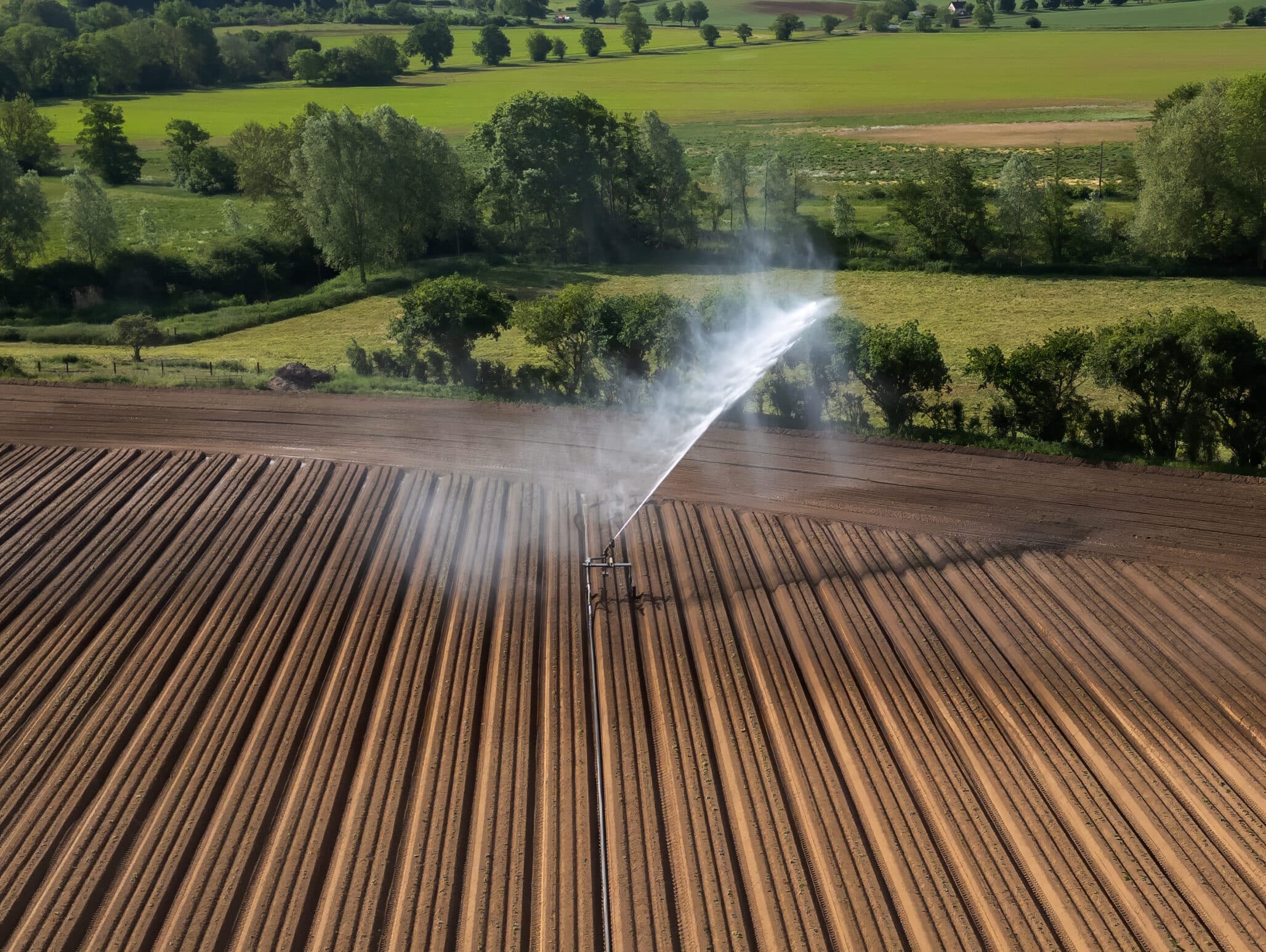 UK Food System Under Pressure as Report Urges Shift to Sustainable Farming