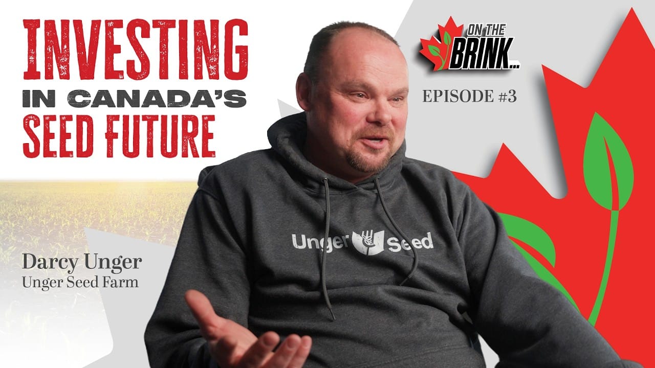 Darcy Unger talks seed investment in this on the brink thumbnail