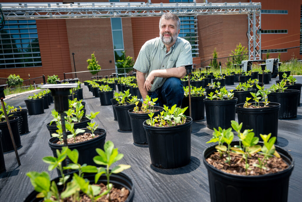 AI, Plant breeder, plants, science