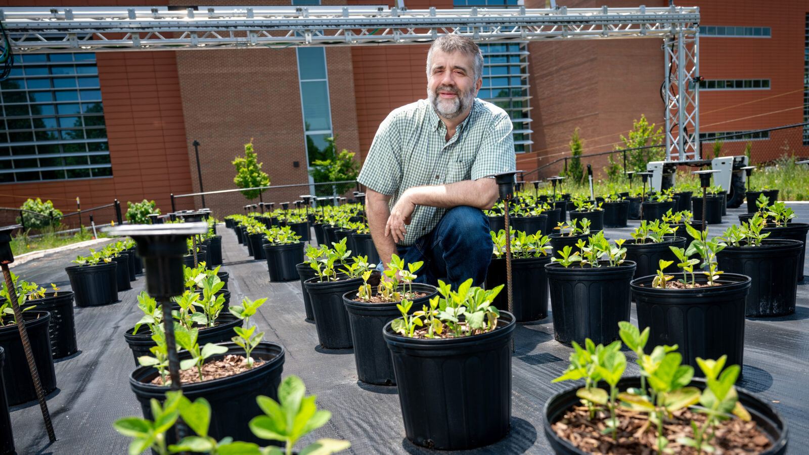 AI, Plant breeder, plants, science