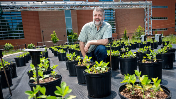 AI, Plant breeder, plants, science