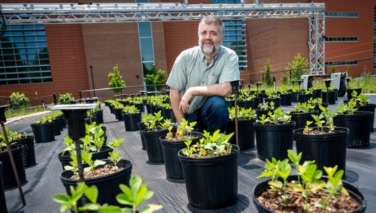 AI, Plant breeder, plants, science