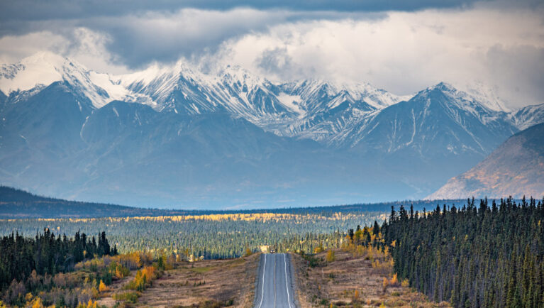 Съезд производителей семян CSGA 2026 в Уайтхорсе: даты, транспорт, спикер и что вас ожидает