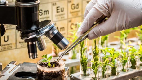 new methods of plant breeding