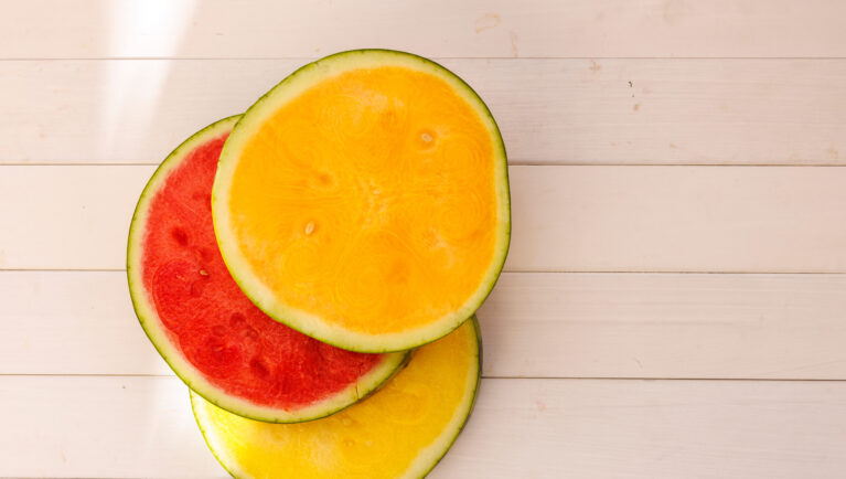 Селекция арбузов под давлением: вызовы и решения