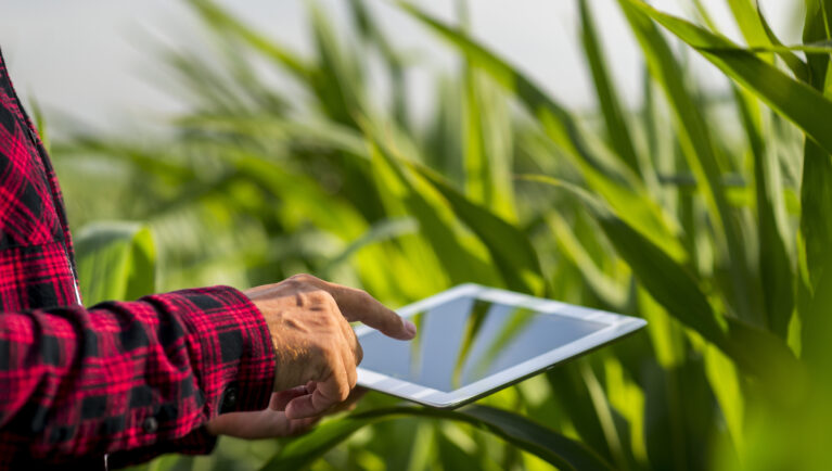 Close up man touching tablet screen in a field