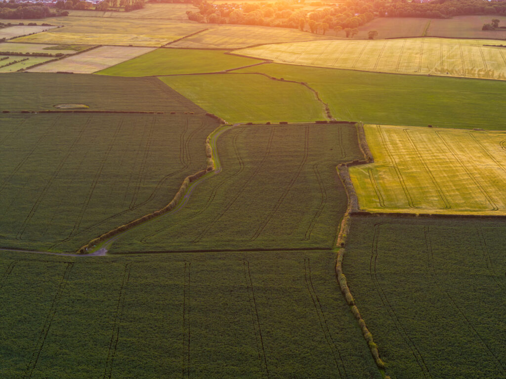 Patchwork of agriculture, fields and hedgerows, aerial view at sunset, England