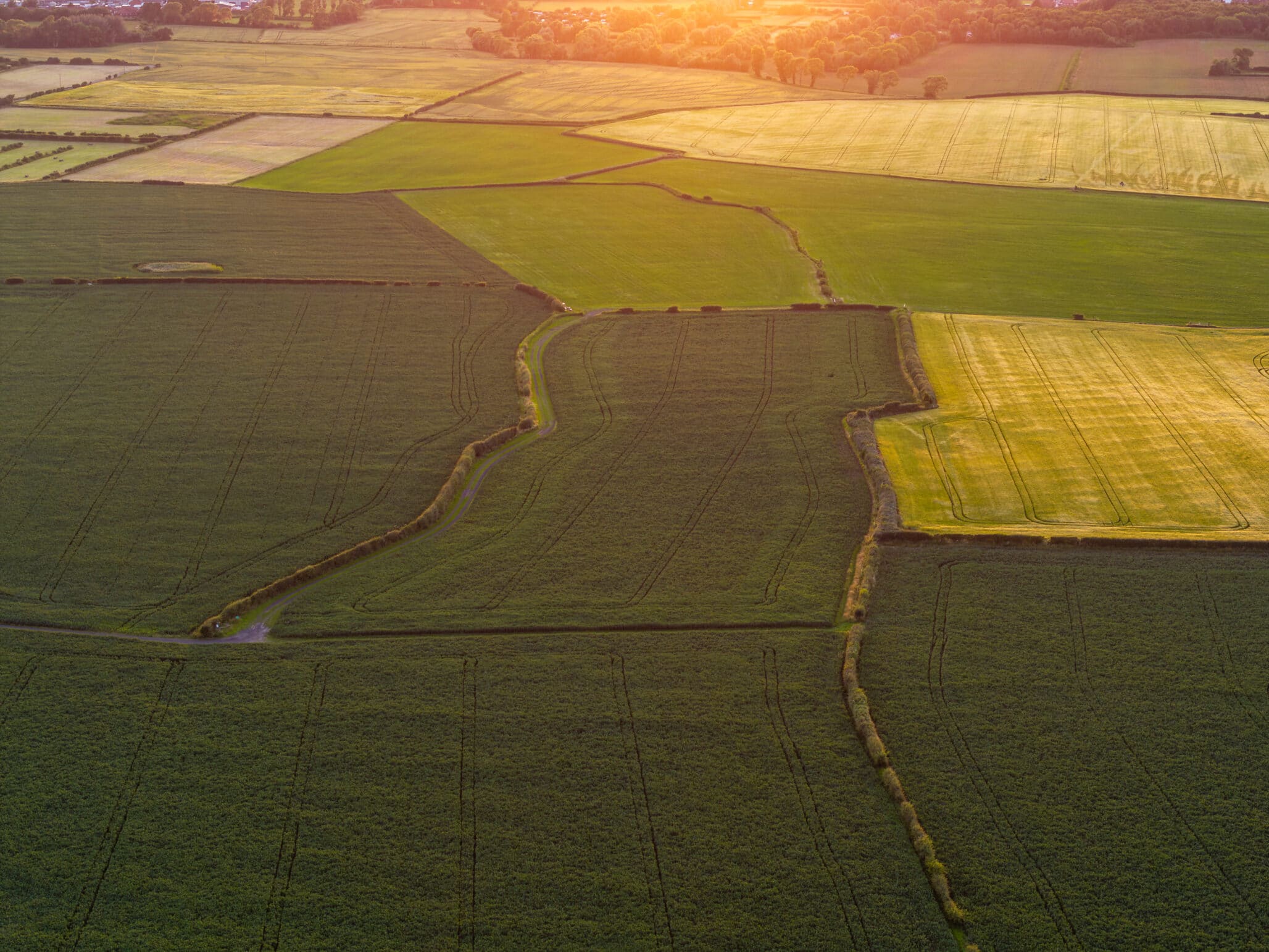 £3 Billion DNA Project: How Sequencing UK Biodiversity Could Transform Agriculture and Innovation