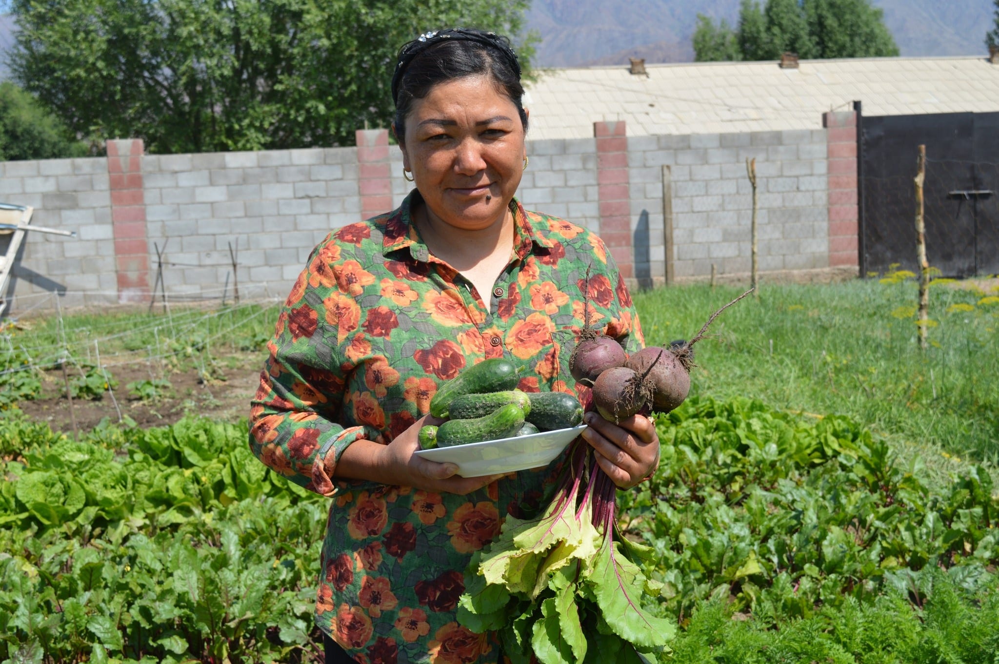 Seed Programs International conecta a los pequeños agricultores con el sector de las semillas
