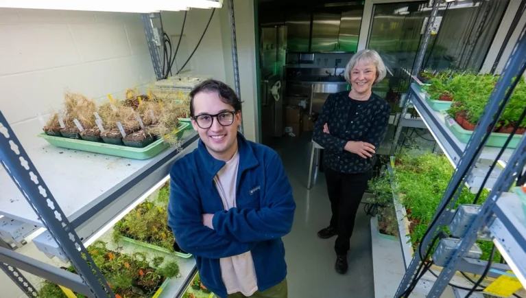 lab, plants