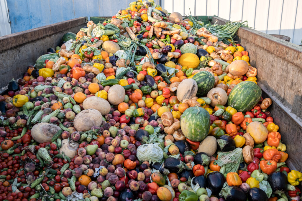 food waste, bin