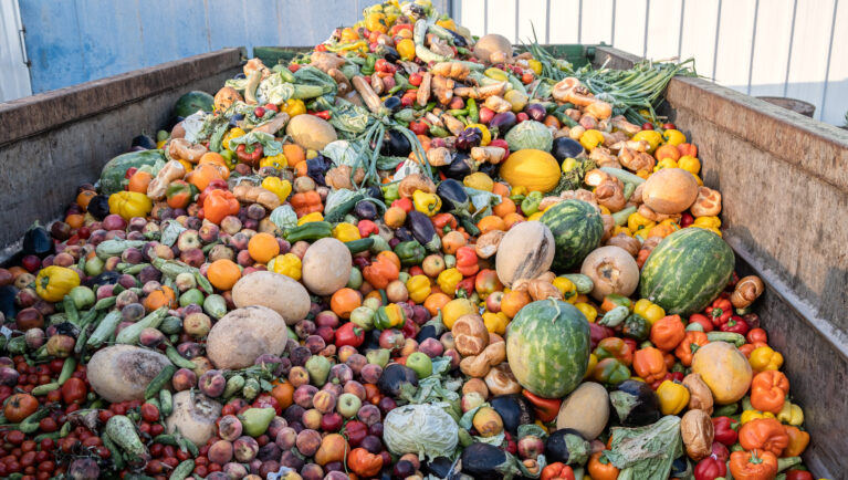 food waste, bin