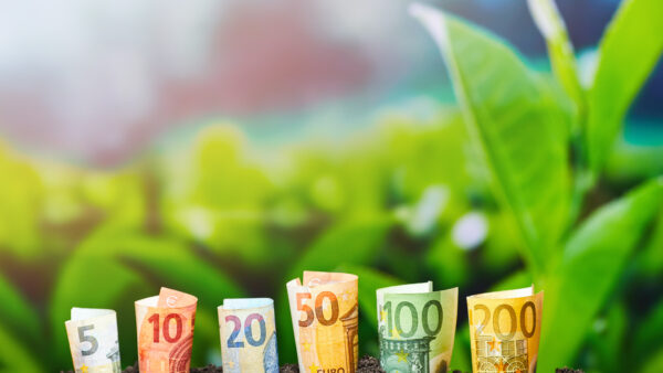 Euro Money. Different Euro banknotes from 5 to 200 Euro. Money and Agriculture texture.