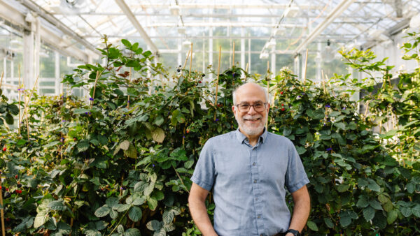 Tom Adams, CEO of Pairwise, stands in a greenhouse surrounded by blackberry plants developed through gene editing research.